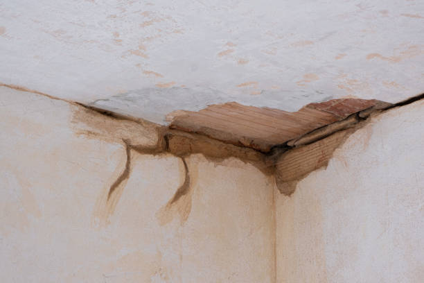Best Sewage cleanup and water damage restoration  in Carrollton, KY