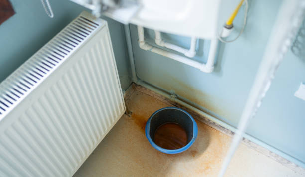 Best Local water damage restoration  in Carrollton, KY