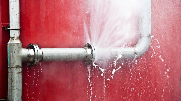 Best Water damage contractors near me  in Carrollton, KY